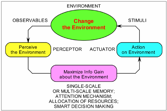 perception-action loop